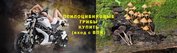 экстази Осинники